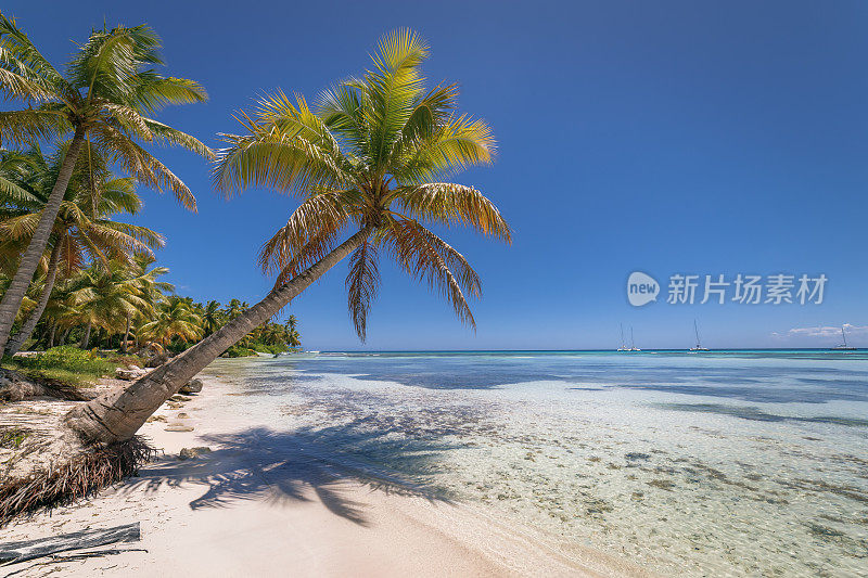 夏季天堂:热带海滩与游艇- Saona岛，加勒比